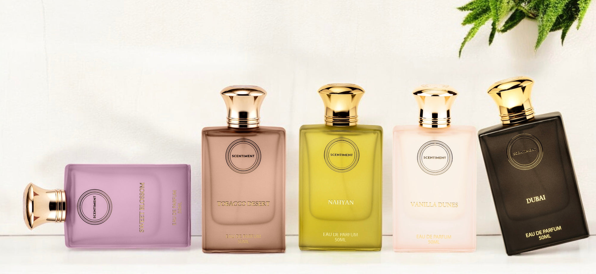 Parfum online kopen